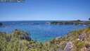 ./images/calvert/foggy-cove/20260714/foggy-cove20260714_141501M.jpg