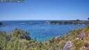 ./images/calvert/foggy-cove/20260714/foggy-cove20260714_142501M.jpg