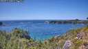 ./images/calvert/foggy-cove/20260714/foggy-cove20260714_144501M.jpg