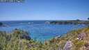 ./images/calvert/foggy-cove/20260714/foggy-cove20260714_145001M.jpg