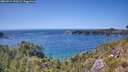 ./images/calvert/foggy-cove/20260714/foggy-cove20260714_150501M.jpg