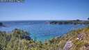 ./images/calvert/foggy-cove/20260714/foggy-cove20260714_152002M.jpg