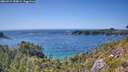 ./images/calvert/foggy-cove/20260714/foggy-cove20260714_154001M.jpg