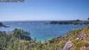./images/calvert/foggy-cove/20260714/foggy-cove20260714_163501M.jpg