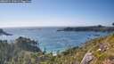 ./images/calvert/foggy-cove/20260714/foggy-cove20260714_174501M.jpg