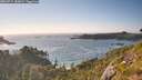 ./images/calvert/foggy-cove/20260714/foggy-cove20260714_185001M.jpg