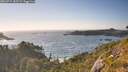 ./images/calvert/foggy-cove/20260714/foggy-cove20260714_185502M.jpg