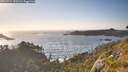 ./images/calvert/foggy-cove/20260714/foggy-cove20260714_193501M.jpg