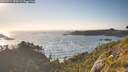 ./images/calvert/foggy-cove/20260714/foggy-cove20260714_194502M.jpg
