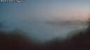 ./images/calvert/foggy-cove/20260715/foggy-cove20260715_045501M.jpg