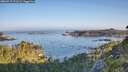 ./images/calvert/foggy-cove/20260715/foggy-cove20260715_071501M.jpg