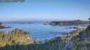 ./images/calvert/foggy-cove/20260715/foggy-cove20260715_073002M.jpg