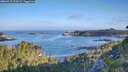./images/calvert/foggy-cove/20260715/foggy-cove20260715_074501M.jpg