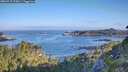 ./images/calvert/foggy-cove/20260715/foggy-cove20260715_075001M.jpg