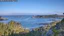 ./images/calvert/foggy-cove/20260715/foggy-cove20260715_075501M.jpg