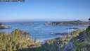 ./images/calvert/foggy-cove/20260715/foggy-cove20260715_080501M.jpg