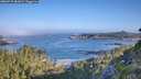 ./images/calvert/foggy-cove/20260715/foggy-cove20260715_081002M.jpg