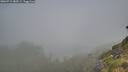 ./images/calvert/foggy-cove/20260715/foggy-cove20260715_083501M.jpg