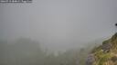 ./images/calvert/foggy-cove/20260715/foggy-cove20260715_084001M.jpg