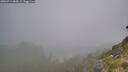 ./images/calvert/foggy-cove/20260715/foggy-cove20260715_084501M.jpg
