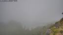 ./images/calvert/foggy-cove/20260715/foggy-cove20260715_085002M.jpg