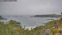 ./images/calvert/foggy-cove/20260715/foggy-cove20260715_100501M.jpg