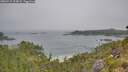 ./images/calvert/foggy-cove/20260715/foggy-cove20260715_103001M.jpg