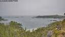 ./images/calvert/foggy-cove/20260715/foggy-cove20260715_103501M.jpg