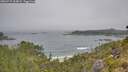 ./images/calvert/foggy-cove/20260715/foggy-cove20260715_104001M.jpg