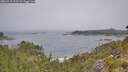 ./images/calvert/foggy-cove/20260715/foggy-cove20260715_112501M.jpg