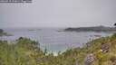 ./images/calvert/foggy-cove/20260715/foggy-cove20260715_113001M.jpg