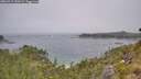 ./images/calvert/foggy-cove/20260715/foggy-cove20260715_120501M.jpg