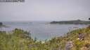 ./images/calvert/foggy-cove/20260715/foggy-cove20260715_122001M.jpg