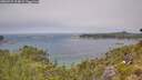 ./images/calvert/foggy-cove/20260715/foggy-cove20260715_124001M.jpg