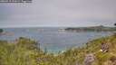 ./images/calvert/foggy-cove/20260715/foggy-cove20260715_124501M.jpg