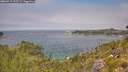 ./images/calvert/foggy-cove/20260715/foggy-cove20260715_125501M.jpg