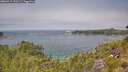 ./images/calvert/foggy-cove/20260715/foggy-cove20260715_130502M.jpg