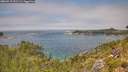 ./images/calvert/foggy-cove/20260715/foggy-cove20260715_131501M.jpg