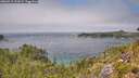 ./images/calvert/foggy-cove/20260715/foggy-cove20260715_132002M.jpg