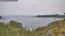 ./images/calvert/foggy-cove/20260715/foggy-cove20260715_140501M.jpg
