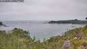 ./images/calvert/foggy-cove/20260715/foggy-cove20260715_141501M.jpg