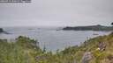 ./images/calvert/foggy-cove/20260715/foggy-cove20260715_144501M.jpg