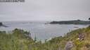 ./images/calvert/foggy-cove/20260715/foggy-cove20260715_145001M.jpg