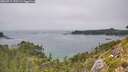 ./images/calvert/foggy-cove/20260715/foggy-cove20260715_150501M.jpg