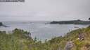 ./images/calvert/foggy-cove/20260715/foggy-cove20260715_152502M.jpg
