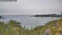 ./images/calvert/foggy-cove/20260715/foggy-cove20260715_154001M.jpg