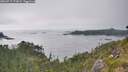 ./images/calvert/foggy-cove/20260715/foggy-cove20260715_173001M.jpg