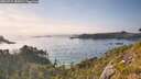 ./images/calvert/foggy-cove/20260715/foggy-cove20260715_182002M.jpg