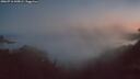 ./images/calvert/foggy-cove/20260716/foggy-cove20260716_045002M.jpg