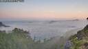 ./images/calvert/foggy-cove/20260716/foggy-cove20260716_053501M.jpg
